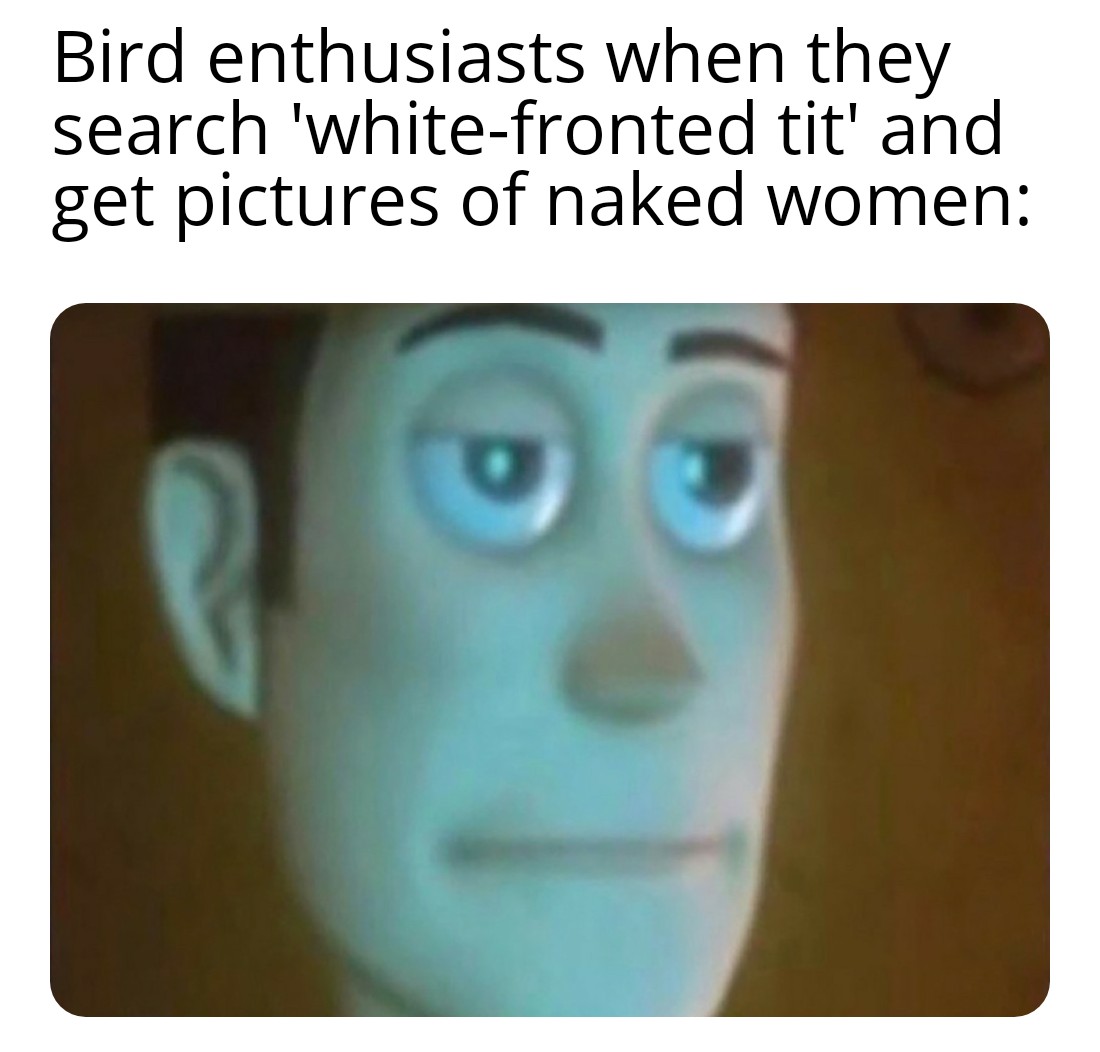 memes of your teacher - Bird enthusiasts when they search 'whitefronted tit' and get pictures of naked women
