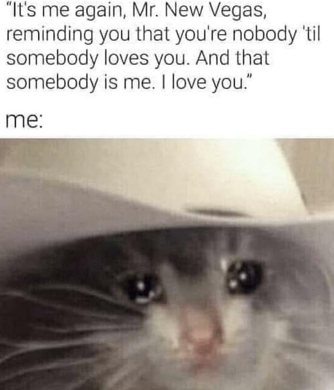 fresh memes - whiskers - "It's me again, Mr. New Vegas, reminding you that you're nobody 'til somebody loves you. And that somebody is me. I love you." me