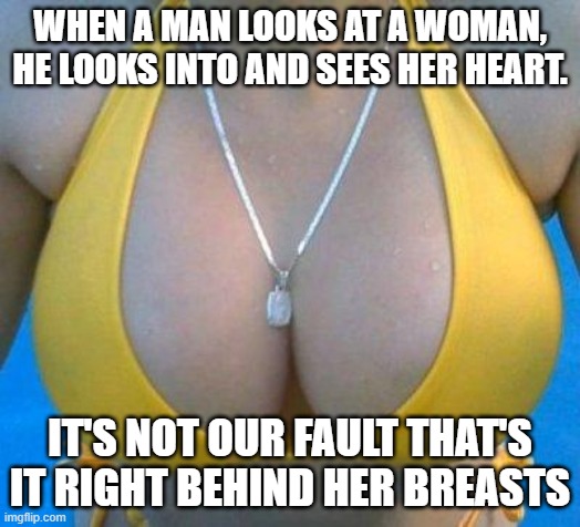 fresh memes - meme - When A Man Looks At A Woman, He Looks Into And Sees Her Heart. It'S Not Our Fault That'S It Right Behind Her Breasts imgflip.com