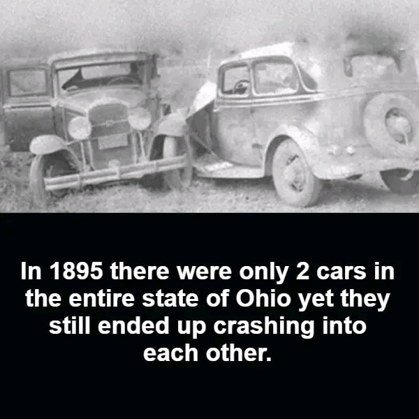 fresh memes - only 2 cars in ohio crash into each other - G In 1895 there were only 2 cars in the entire state of Ohio yet they still ended up crashing into each other.