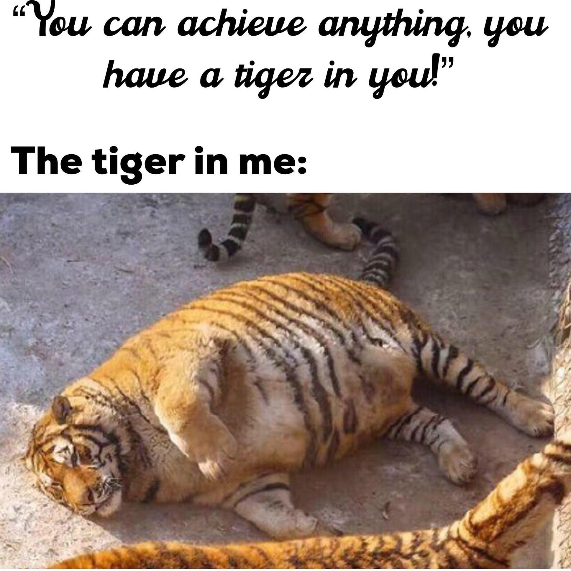 funny memes - tiger in me meme - "You can achieve anything, you have a tiger in you!" The tiger in me