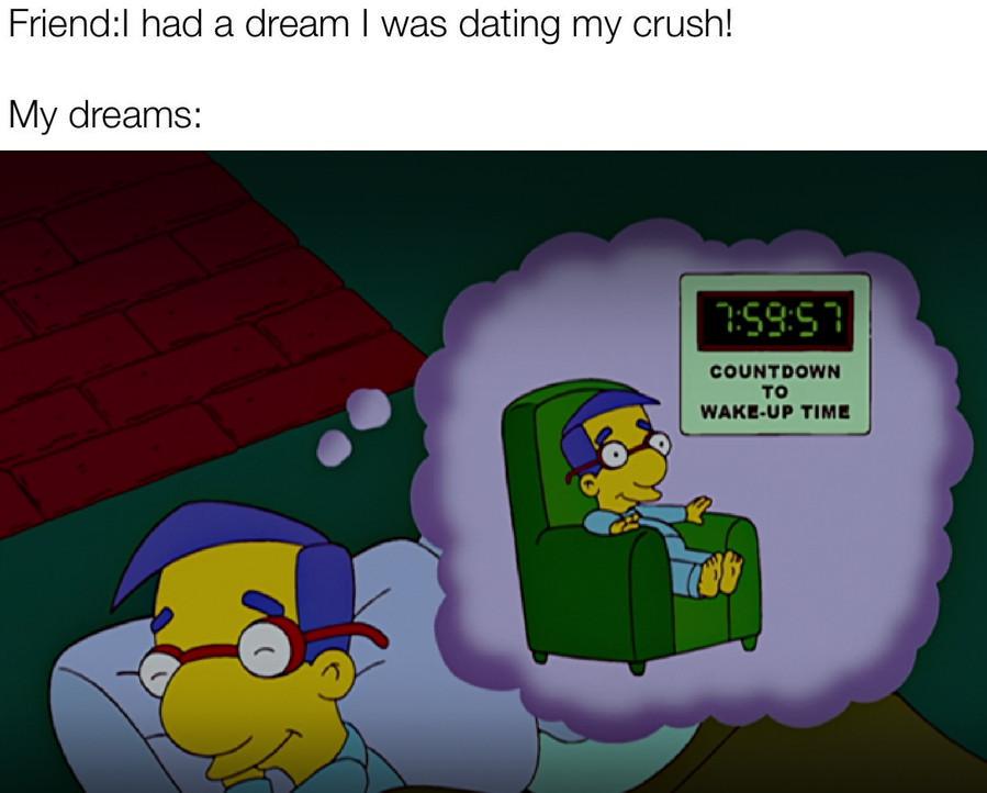funny memes - cartoon - FriendI had a dream I was dating my crush! My dreams 57 Countdown To WakeUp Time