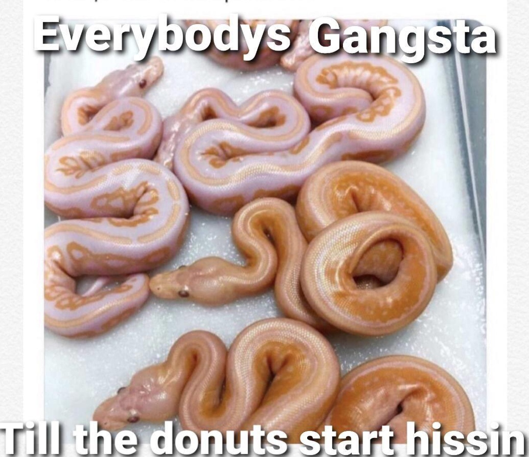 dank memes - glaze - Everybodys Gangsta Till the donuts start hissin