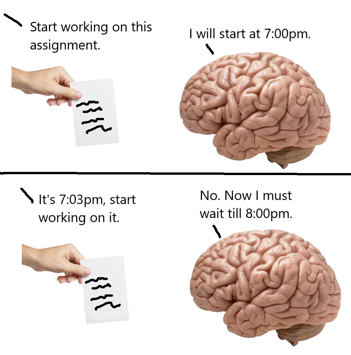 dank memes - neurologist - Start working on this assignment. It's pm, start working on it. I will start at pm. No. Now I must wait till pm.