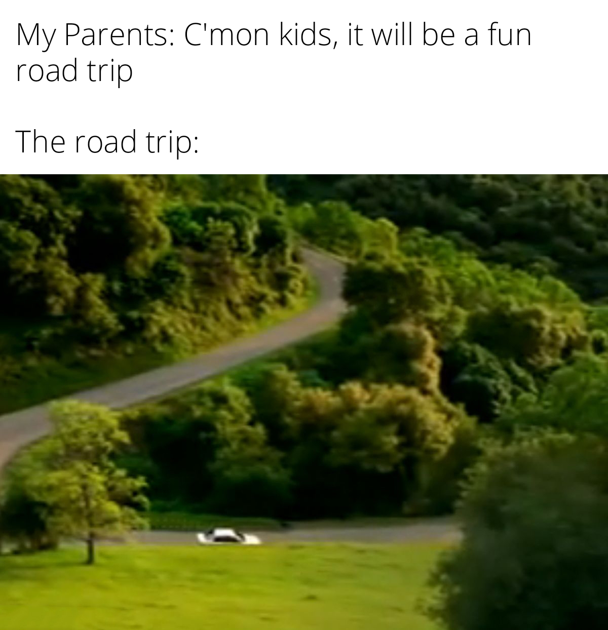 trending memes - -  - My Parents C'mon kids, it will be a fun road trip The road trip