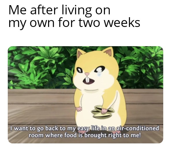 trending memes - cartoon - Me after living on my own for two weeks I want to go back to my easy life in an airconditioned room where food is brought right to me!
