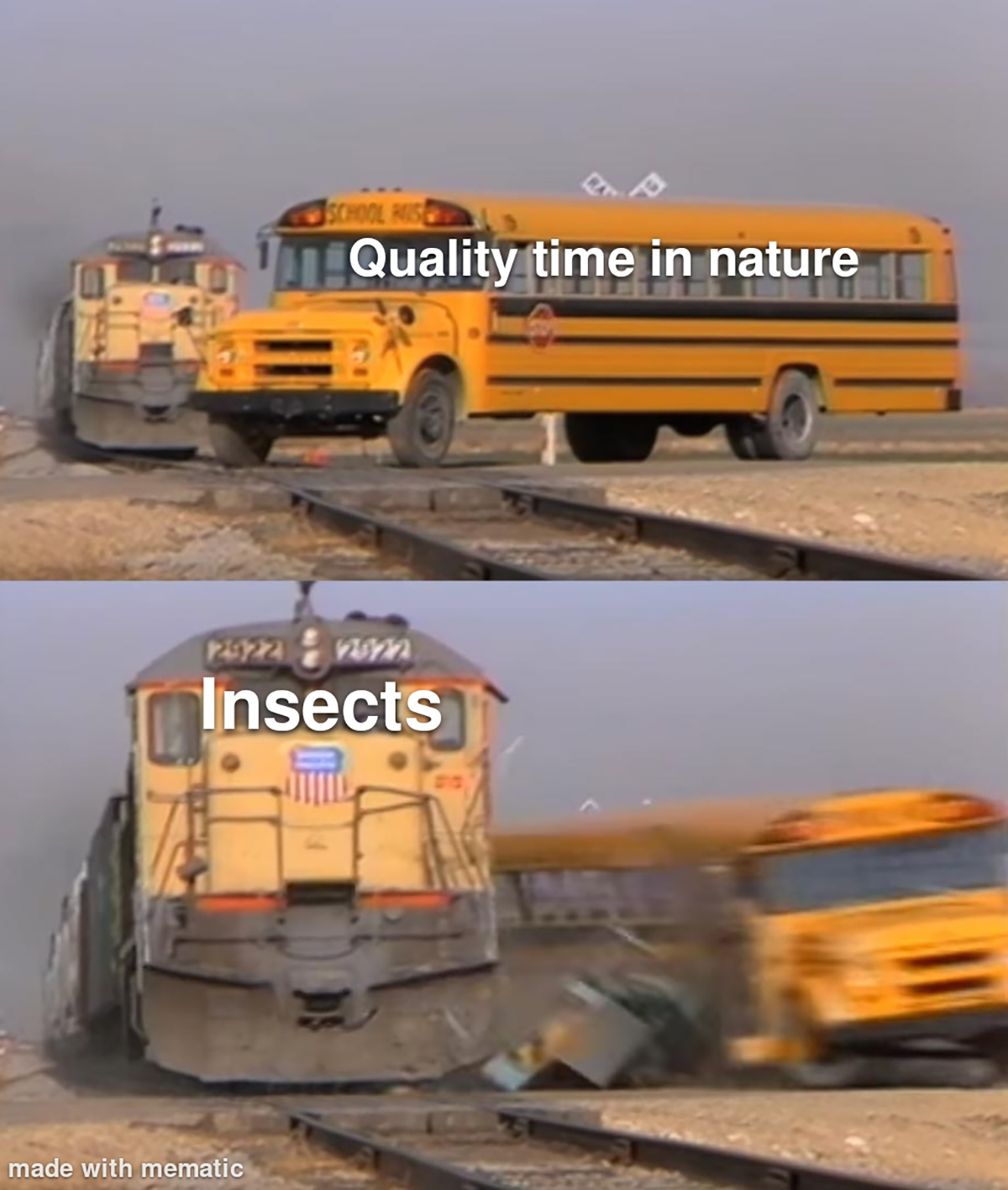 dank memes - school bus hit by train - Quality time in nature Insects made with mematic