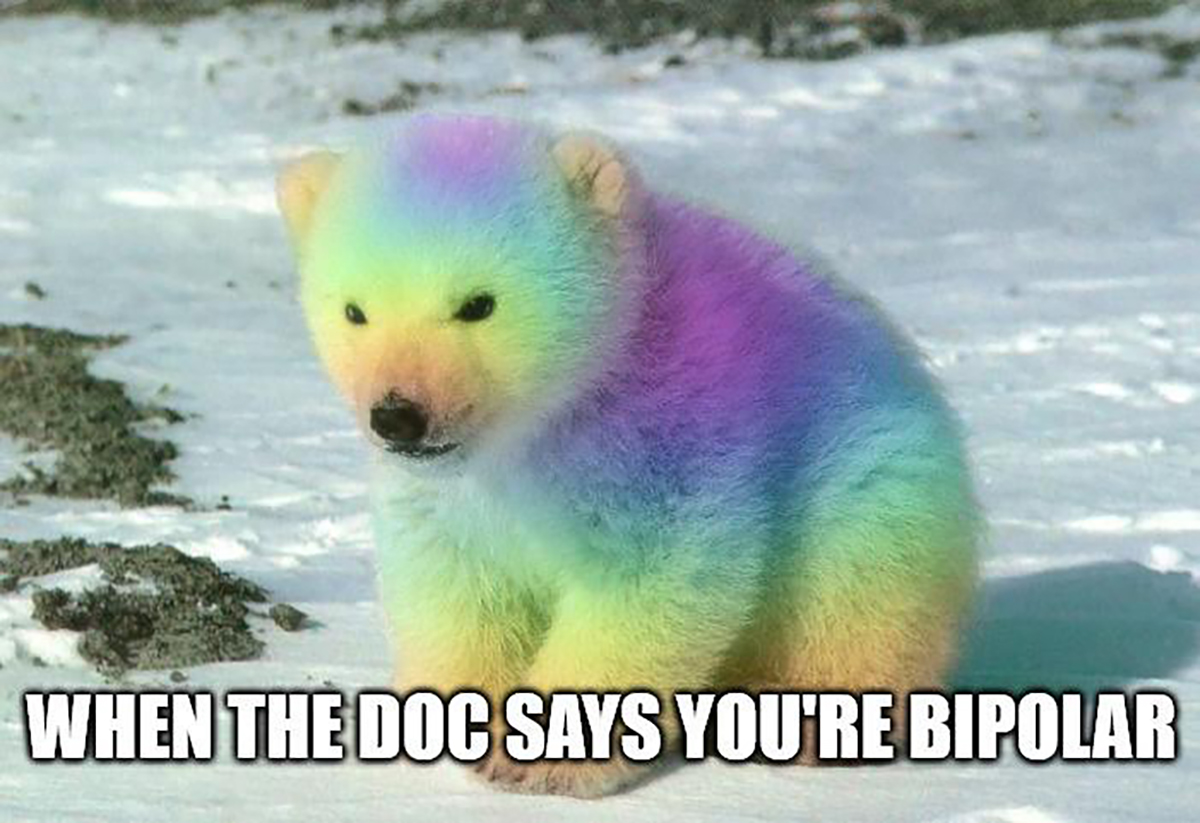 dank memes - rainbow polar bear - When The Doc Says You'Re Bipolar