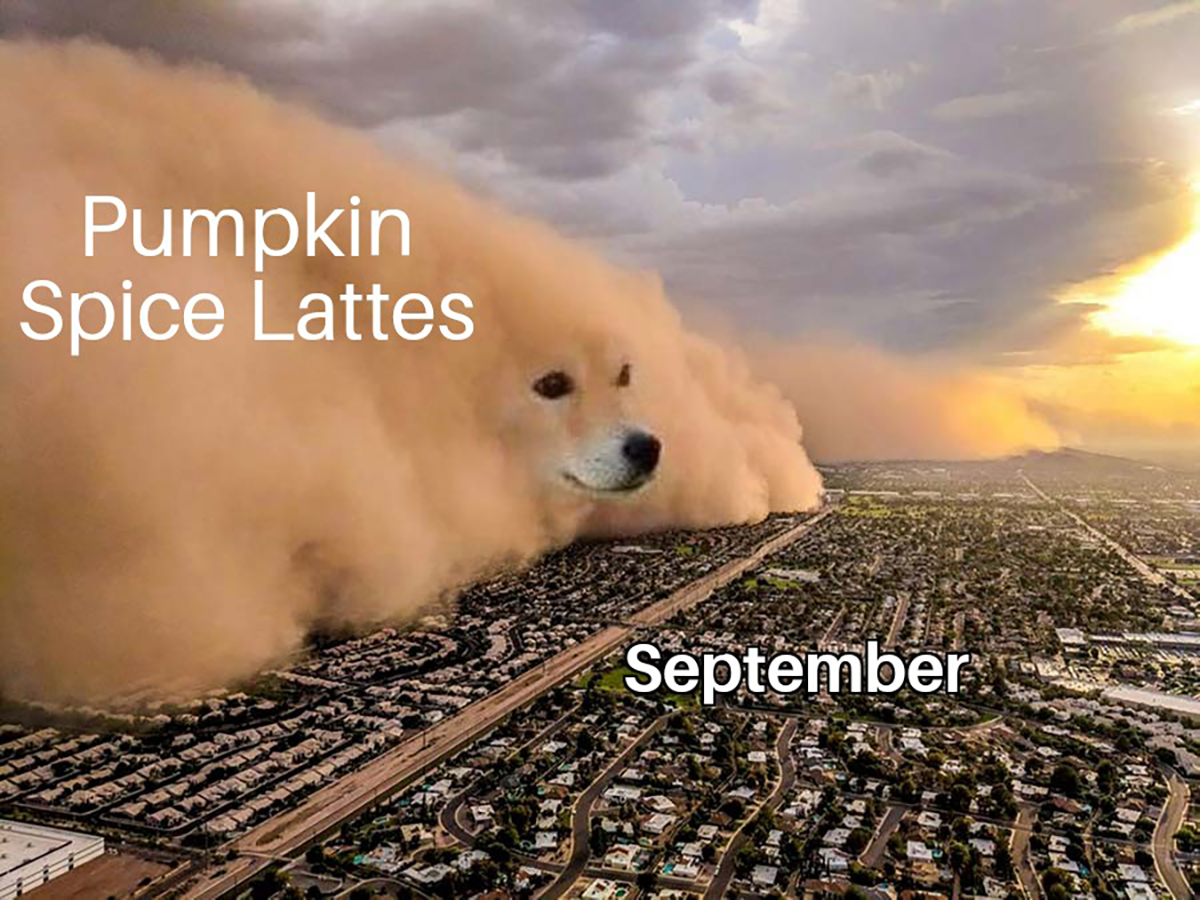 Pumpkin Spice Lattes September 44