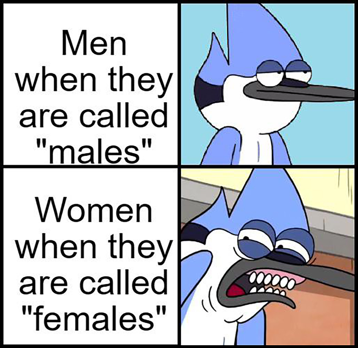 cartoon - Men when they are called "males" Women when they are called "females"