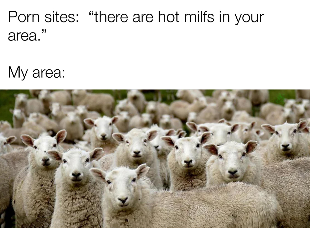 21 Fresh Memes For Exquisite Minds 