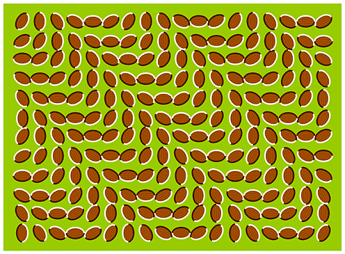 even more optical illusions...