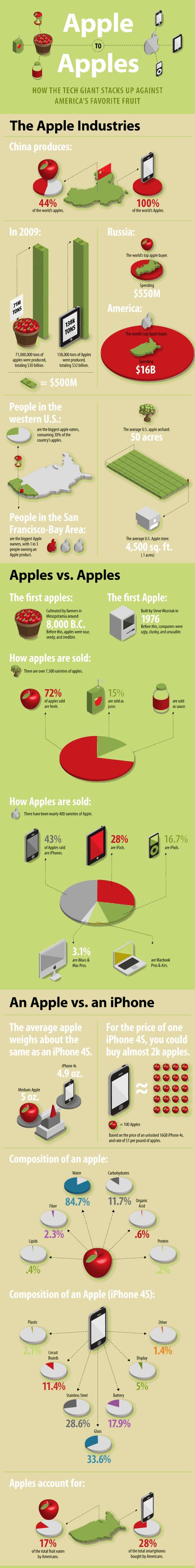 'Round the World Infographics