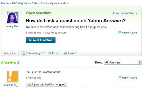 Stupid Online Questions