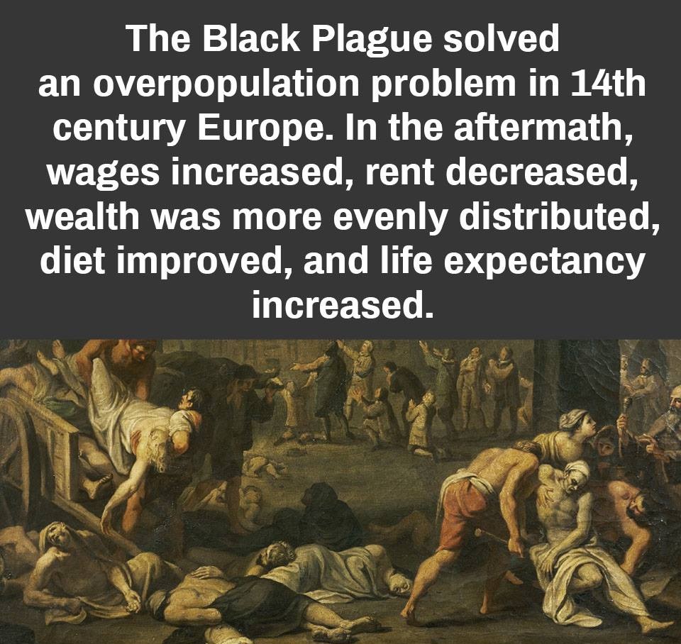 black death middle ages - The Black Plague solved an overpopulation problem in 14th century Europe. In the aftermath, wages increased, rent decreased, wealth was more evenly distributed, diet improved, and life expectancy increased.