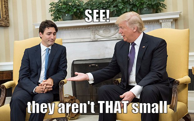 Discouraged; Trudeau thought they looked fake, but was too polite to say so.