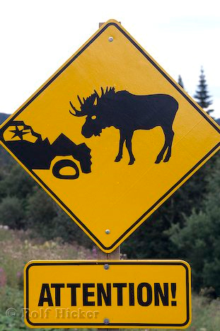 Typical Canadian Animal Warning Sign