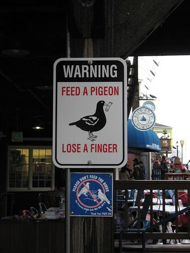 Typical American Animal Warning Sign