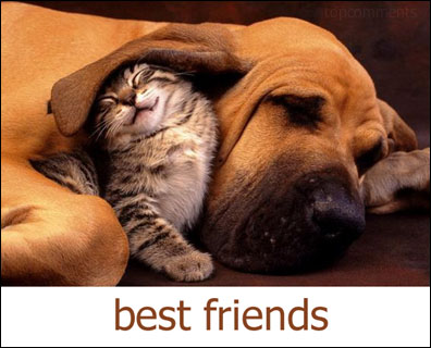 the best friends