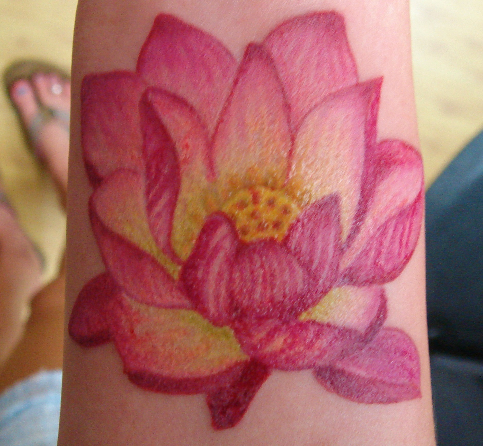 Lotus In full color