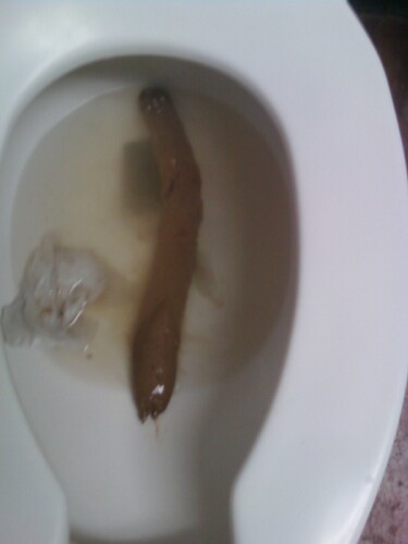 huge turd someone left for me at work it was so big i had to take a picture. ...