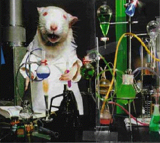 Lab Rat-1