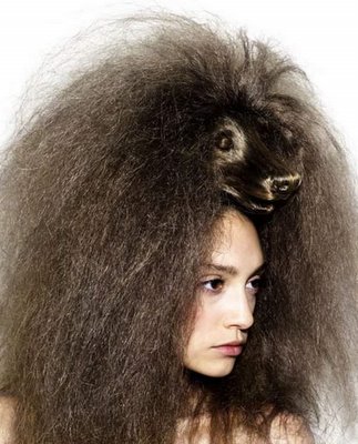 Animal Hair