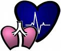 heart and lungs go hand and hand