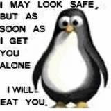 Penguin will eat you :o