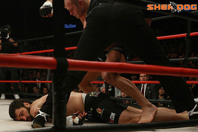 Great MMA Knockout Photos