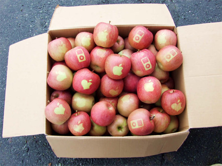 mac apples