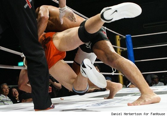 MMA fighter looses ear!