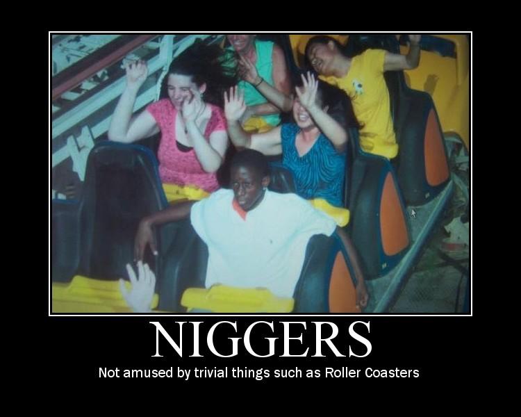 roller coaster faces