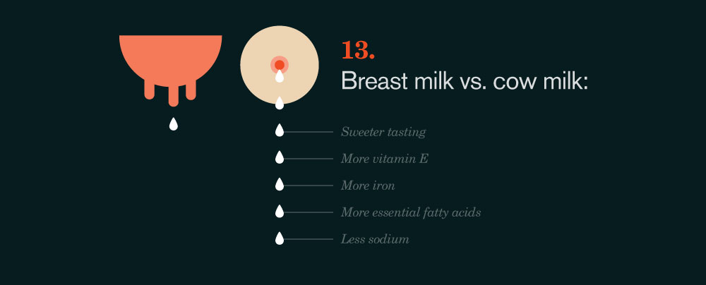 Fifteen Things You Should Know About Breasts