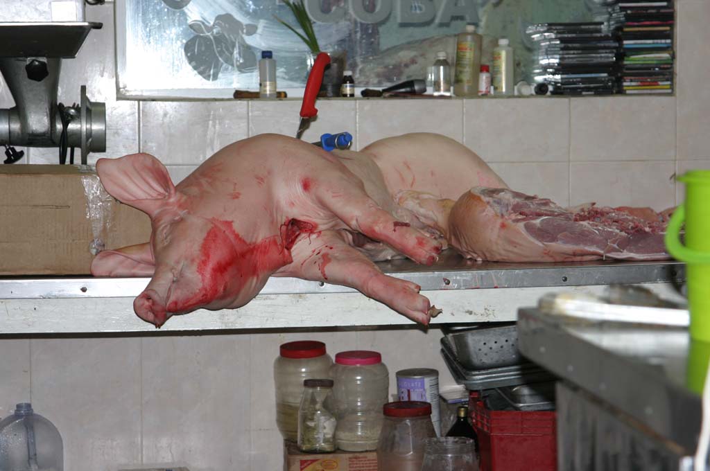 dead pig about to butchered in a Mexican market butcher shop is to blame for the swine flu breakout!!! (The knife gives it a nice touch!!!)