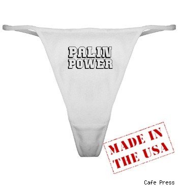 Political Underwear!