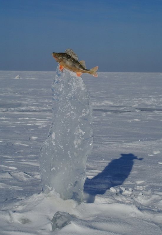 Randomness of Nothing