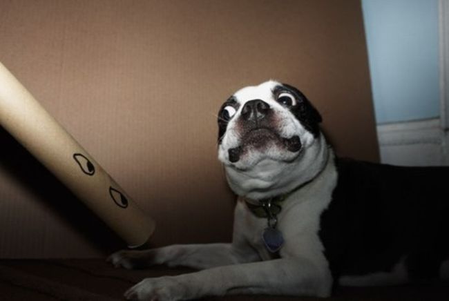 Randomness of Nothing