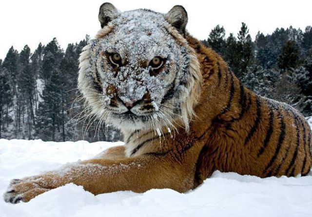 Randomness of Nothing