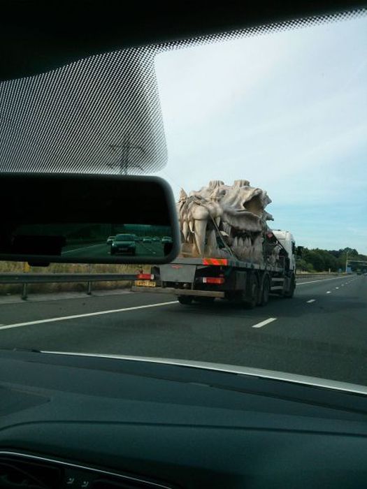 Randomness of Nothing