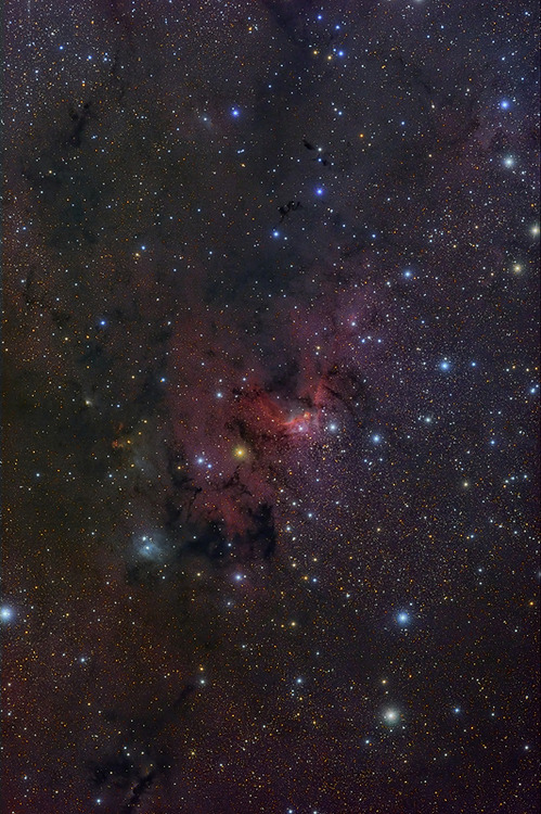 Randomness of Nothing