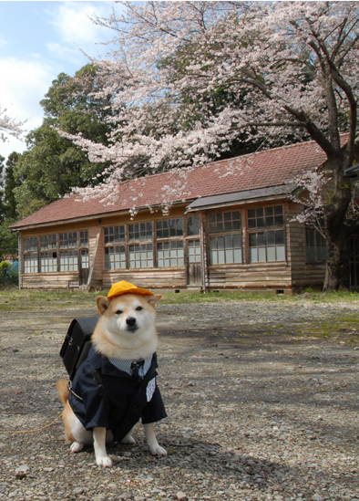 Randomness of Nothing