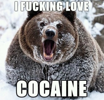 A bear that fucking loves cocaine....