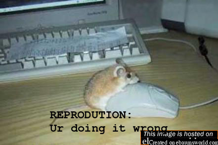 sex with mouse
