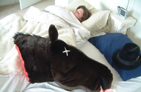 Horses Head Pillow