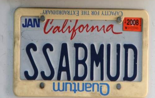 Internet Influenced License Plates