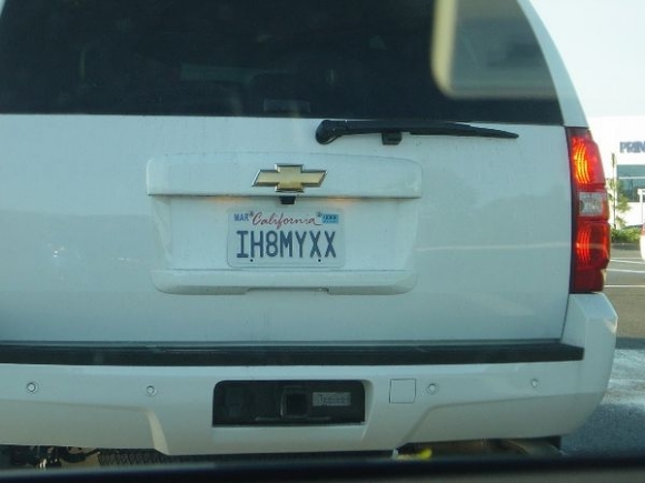 Internet Influenced License Plates