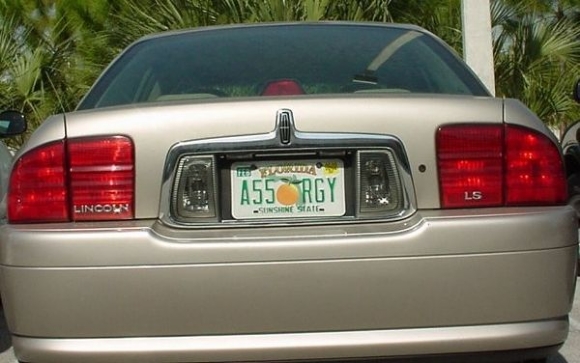 Internet Influenced License Plates