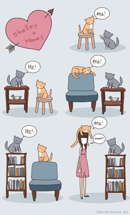 Hilarious Comics with Cats