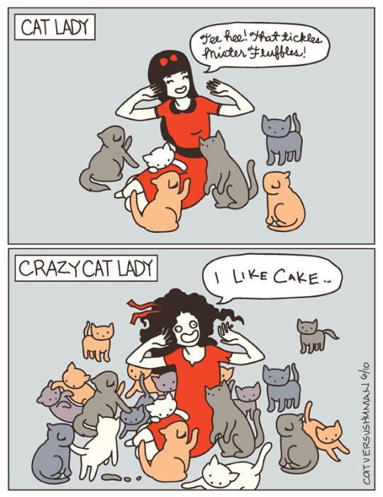 Hilarious Comics with Cats